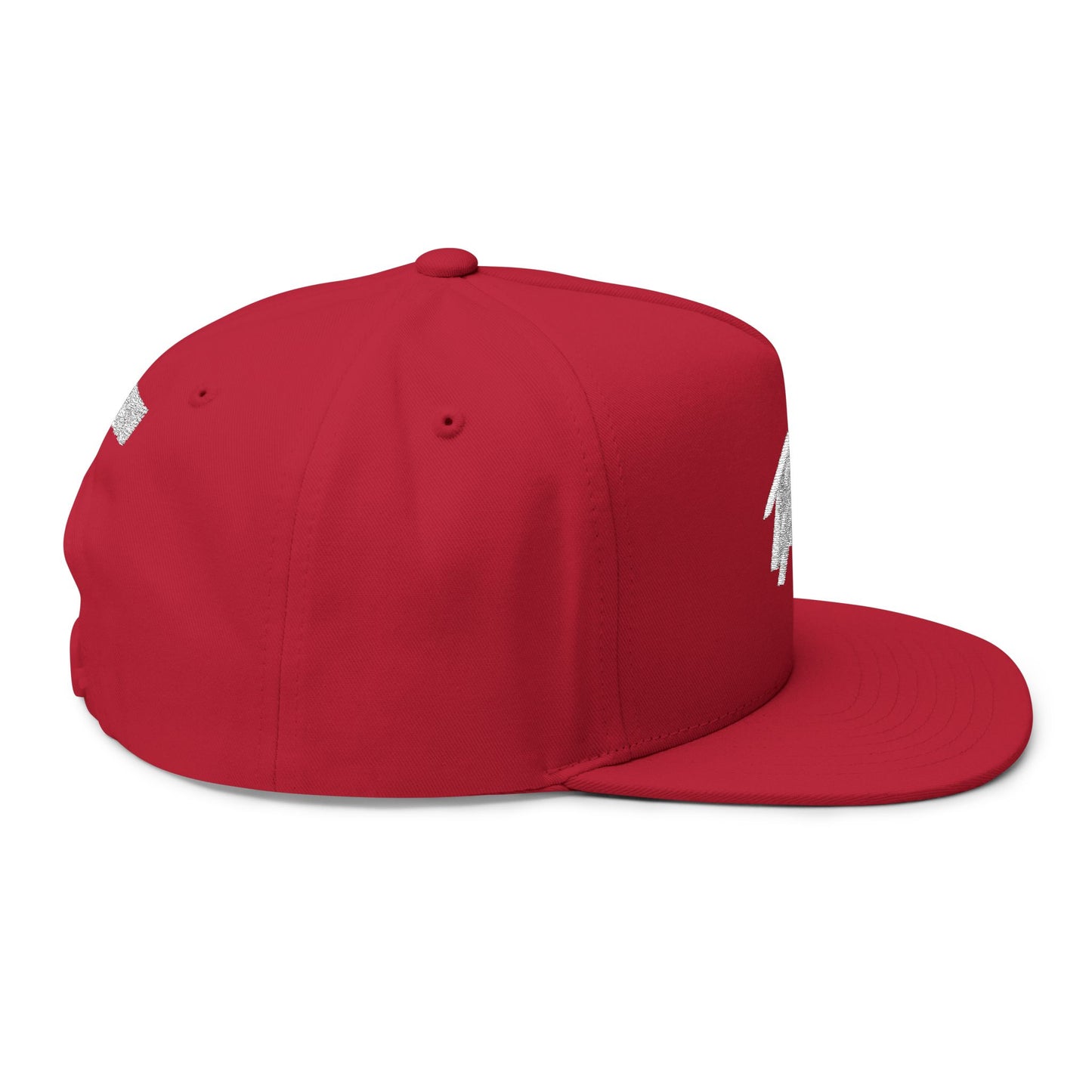 BASH Flat Bill | Embroidered Snapback, EST. 2025