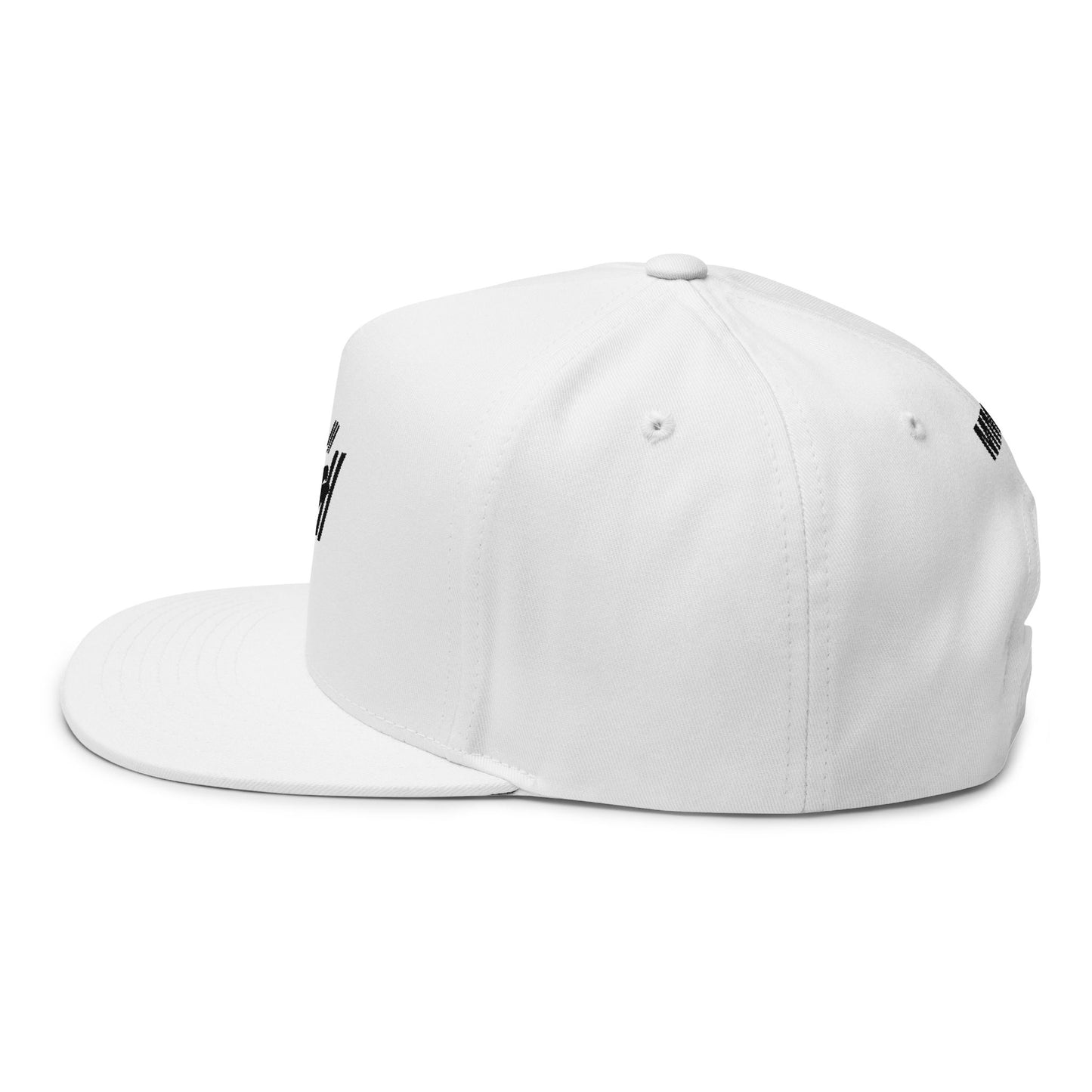 BASH CLLXXN flat bill snapback cap with hand drawn streetwear embroidery on the front panel, green undervisor detail, structured five-panel silhouette, designed by teen streetwear artist from Detroit
