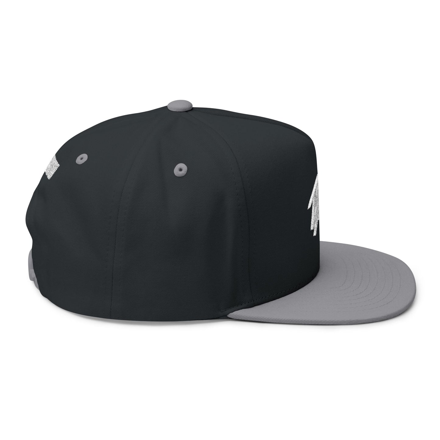 BASH Flat Bill | Embroidered Snapback, EST. 2025