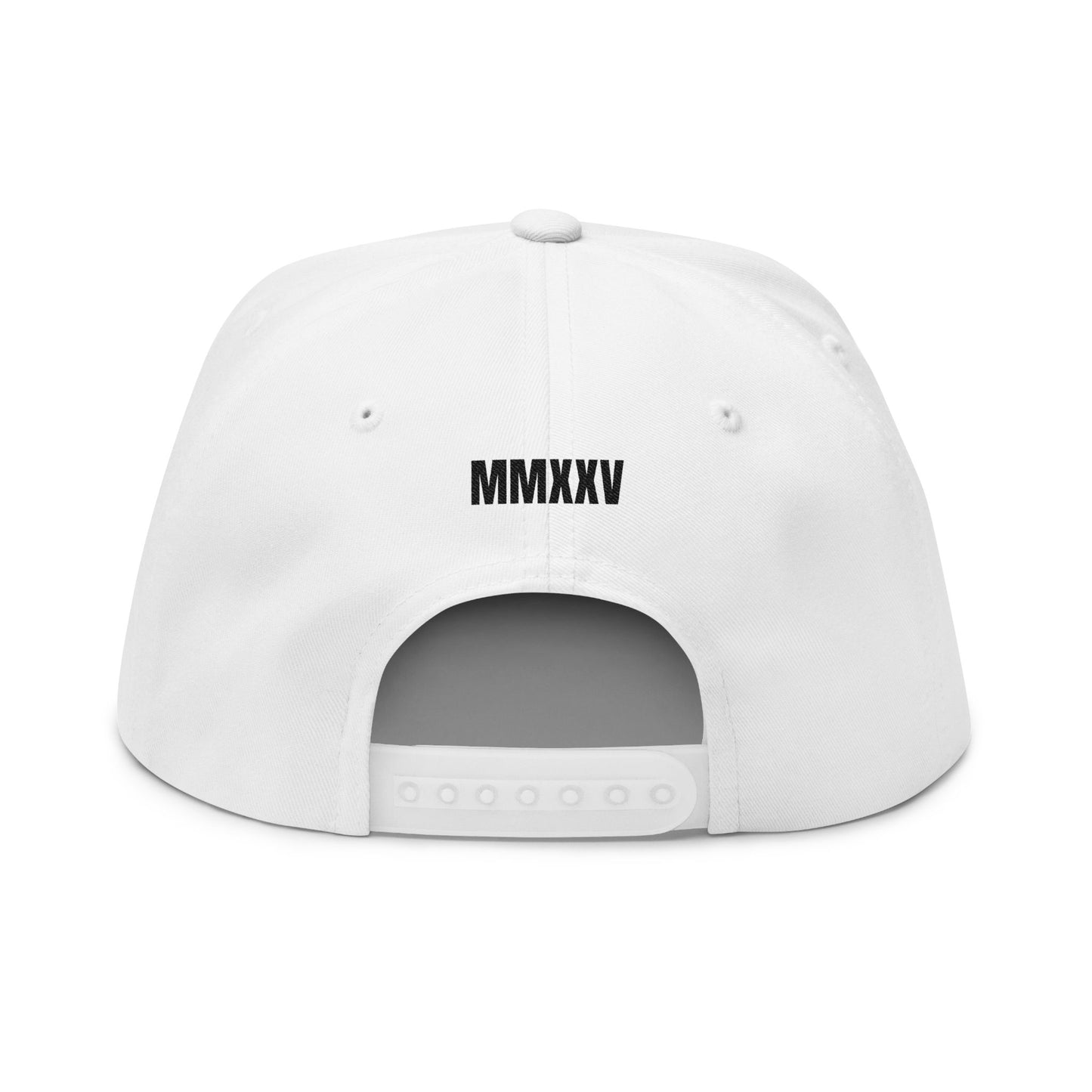 BASH CLLXXN flat bill snapback cap with hand drawn streetwear embroidery on the front panel, green undervisor detail, structured five-panel silhouette, designed by teen streetwear artist from Detroit